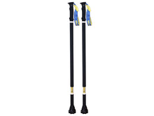 Load image into Gallery viewer, Walk30™  Walking Sticks